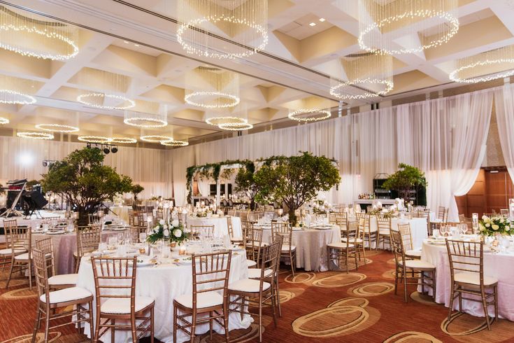 Zoho Backstage Alternative Software in Bangalore